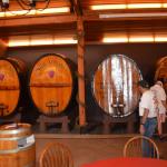 SanAntonioWinery_0074 (October 10, 2020)